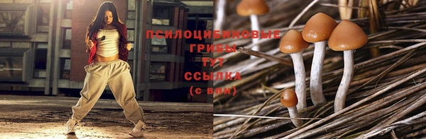 прущая мука Беломорск