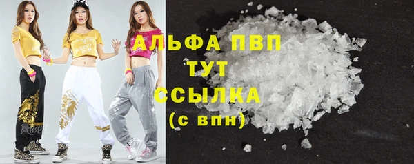 молекула духа Белоозёрский
