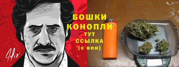 кокаин Белокуриха