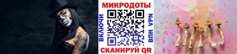 наркотики  Нижний Новгород  Псилоцибиновые грибы мицелий 